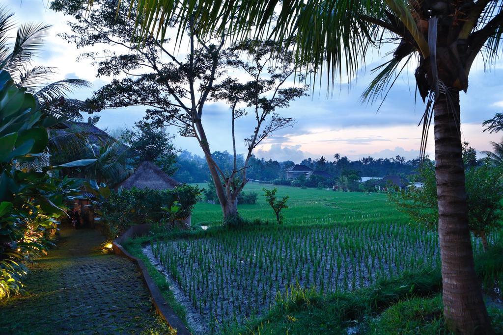 Satori Villas Bali Ubud Exterior foto