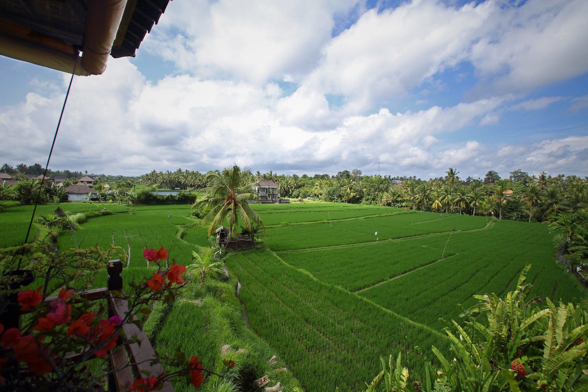 Satori Villas Bali Ubud Exterior foto